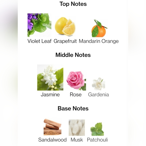 Karl Lagerfeld Paris 21 Rue Saint-Guillaume Eau de Parfum. 3.3 oz - Picture 5 of 7